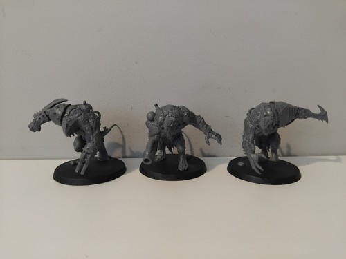 Rats ogres skavens warhammer - rats,